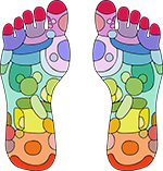 什麼是「 足弓 」?