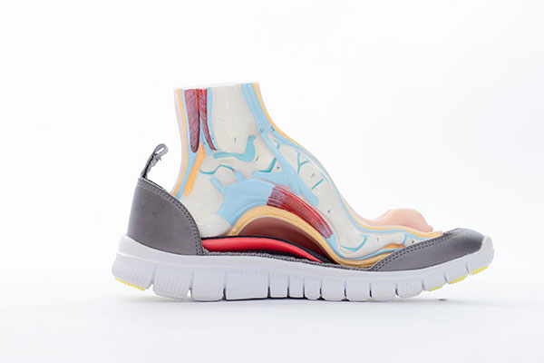 瞭解自身的足踝結構－認識「高 足弓 」