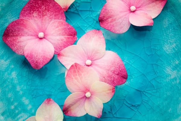 再年輕一次不是夢想- 美顏 針