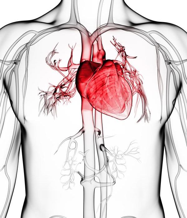 < 中醫養生 > 日夜溫差大 秋季 中醫養生 重心血管維護