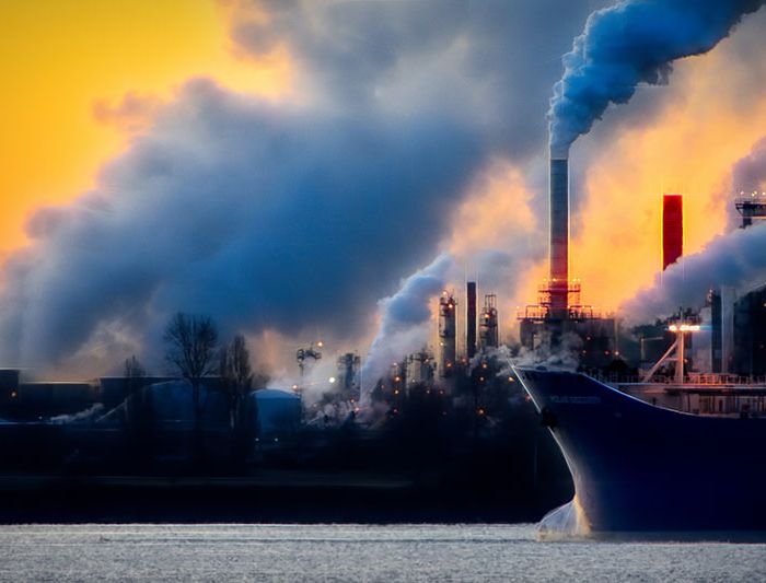 「 環境賀爾蒙 」對人類的危害