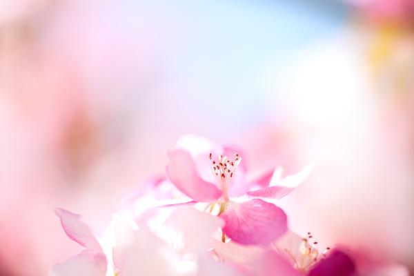 美顏 針算收費不斐嗎???